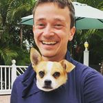 Louis Simms - @louissimms - Instagram