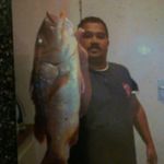 Louis Simpson - @louis.simpson.5496 - Instagram