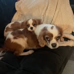 Louis & Sperling - @dramakings1 - Instagram