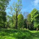 Lou Springer and Wain Marsh - @tree_of_life_wellbeing - Instagram