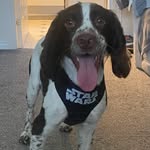 Louis ‘Springer’ Scott - @louis.scott_adventures - Instagram