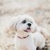Louis Staley - Facebook