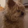 louie.strange0 - @louie.strangee - TikTok