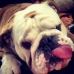 Louis Strange - @_louis_strange_ - Instagram