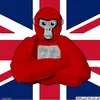 Lewis Tuck - @lewis.tuck43 - TikTok