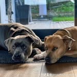 Fatima Koc - @kenzo.louis.tyson.tayna - Instagram