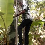 Louis Tyson - @tysonnl312 - Instagram