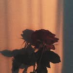 Vương H. Nguyên Bảo - @___louisvuong - Instagram