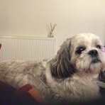 Louis Wakefield - Facebook