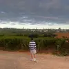 Louis - @louis_warner - TikTok
