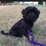 Louis Warner Kelley, I - @louiskthe1st - Instagram