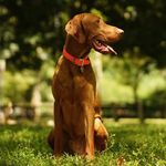 Louis Warner Patton - @louiswpatton - Instagram