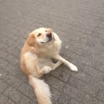 Louis Wickenhöfer - @louis_wicki - Instagram