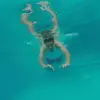 Luis  - @louiswolff - TikTok