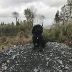 Louise Barton - @louisebarton1961 - Instagram