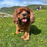 Louise Barton - @louise.barton.121 - Instagram
