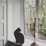 Louisa Cox - @thehome_of_louisacox - Instagram