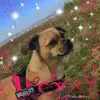 louisacox451 - @louisacox451 - TikTok