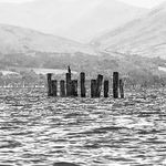 Louisa Dunn - @ld_arch - Instagram