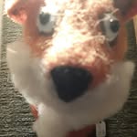 Louisa Hall - @hallsfancygoods - Instagram