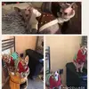 Louisa Hunter - @blueribbonlover - TikTok