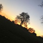 louisa Jackson - @louisa.jackson - Instagram