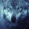 louisalawrenson - @hype_for_hype0 - TikTok