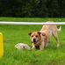 Louisa Shepherd - Facebook