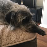Louise Stratton - @louise.stratton.5 - Instagram