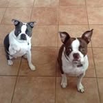 Louise Sullivan - @cleverfoxy10 - Instagram