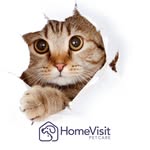 Louise Walters - @homevisitpetcare - Instagram
