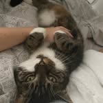 Louise Walters - @socky143 - Instagram