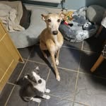 Louise Walters - @slwalters81 - Instagram