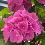 Louise Adams - @louiseadams18ct - Instagram