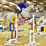 Louise Anderson - @louise.anderson.equine - Instagram