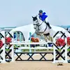louiseandersonequine - @louiseandersonequine - TikTok