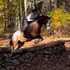 louisebacon1894 - @louisebacon1894 - TikTok