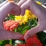 louise_2008 - @louise_barendregt - Instagram