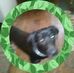 Louise Baron - Facebook