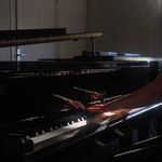 Louise Noël-Baron - @lpnb_976 - Instagram