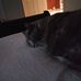 Louise Baumgardner - Facebook