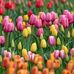 Louise Baumgardner - Facebook