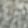 louisebbeeaann - @louisebean - TikTok