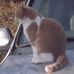 Louise Beck - Facebook