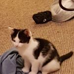 Louise Beck - @louise.back.54 - Instagram