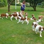 Ann-Louise Bender - @annlouisebender - Instagram