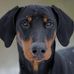 Louise Berman - Facebook
