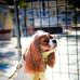Louise Berman - Facebook