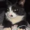louisejbode - @louisejbode4 - TikTok