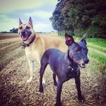 Louise Bowman - @ferntazphotography - Instagram